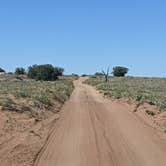 Review photo of BLM Hell Roaring Canyon Overlook Dispersed Camping by Greg L., April 6, 2022