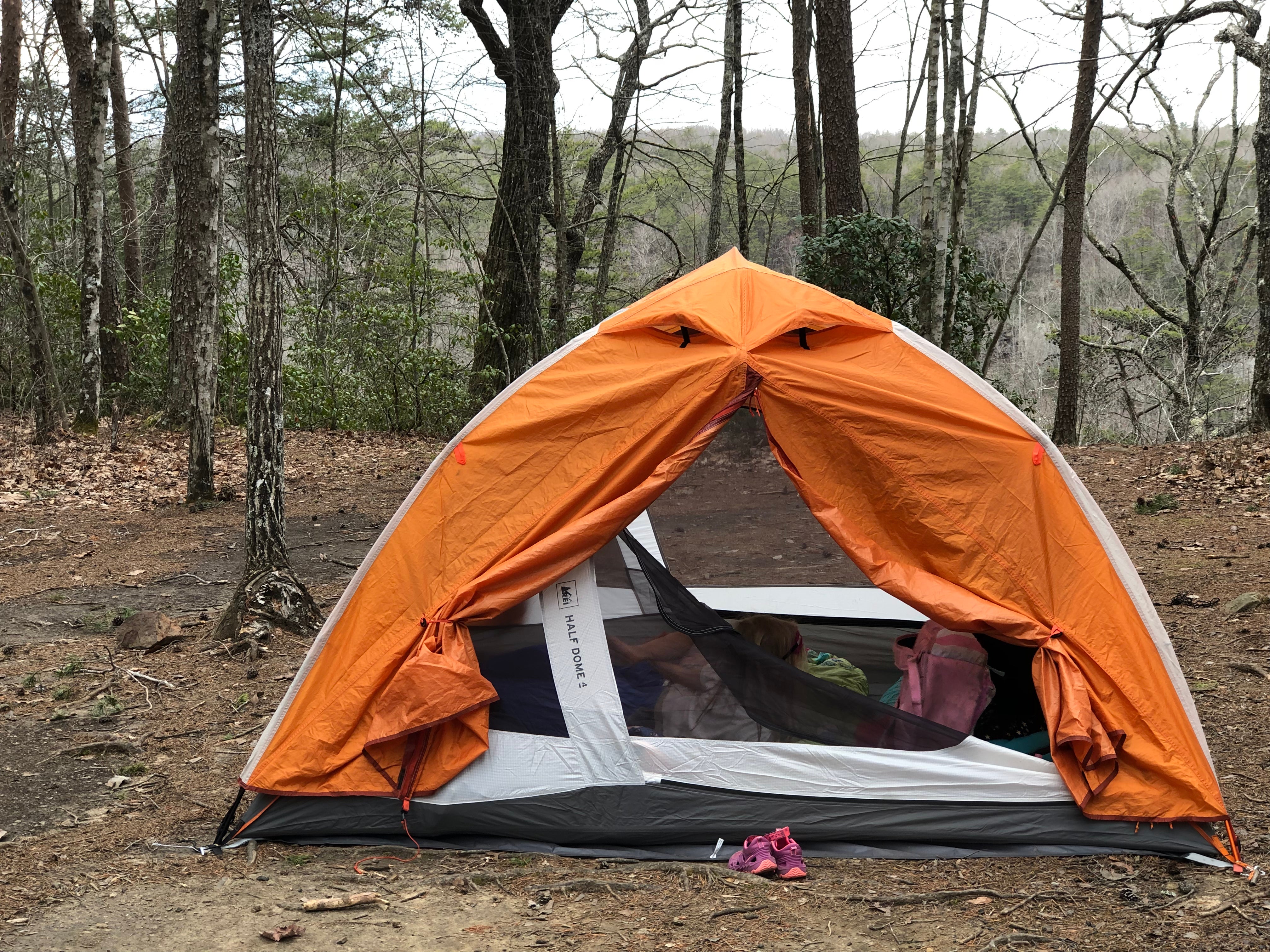 Camper submitted image from Savage Gulf South - Backcountry Camp - 1