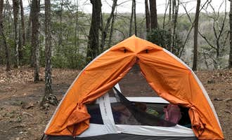 Camping near Hammock Sway: Savage Gulf South - Backcountry Camp, Gruetli-Laager, Tennessee