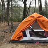 Review photo of Savage Gulf South - Backcountry Camp by Rachel K., April 7, 2022