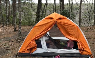 Rachel K.'s photo at Savage Gulf South - Backcountry Camp near Gruetli-Laager, TN