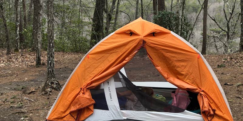 Camper submitted image from Savage Gulf South - Backcountry Camp