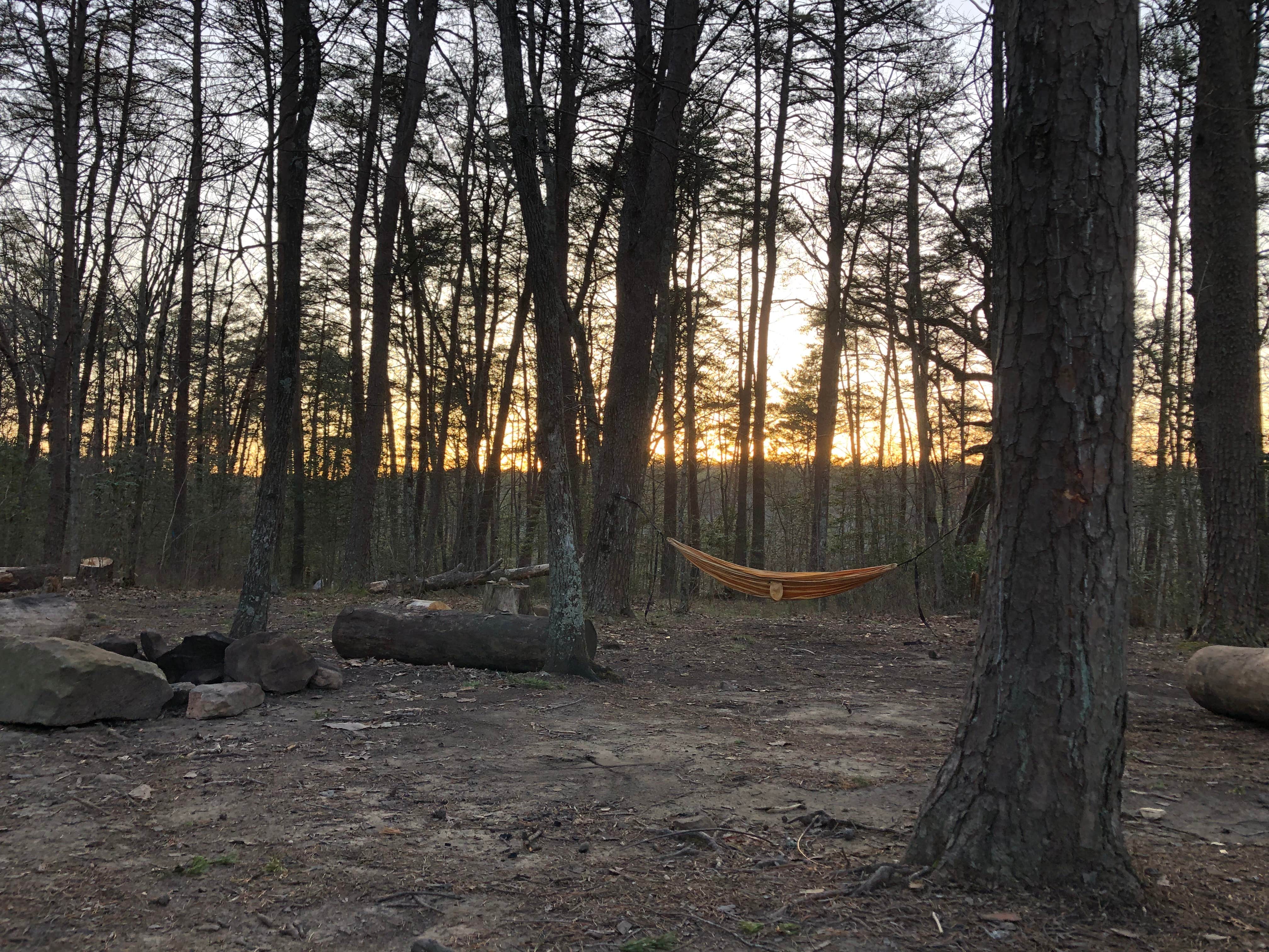 Camper-submitted photo at Savage Gulf South - Backcountry Camp near Signal Mountain, TN