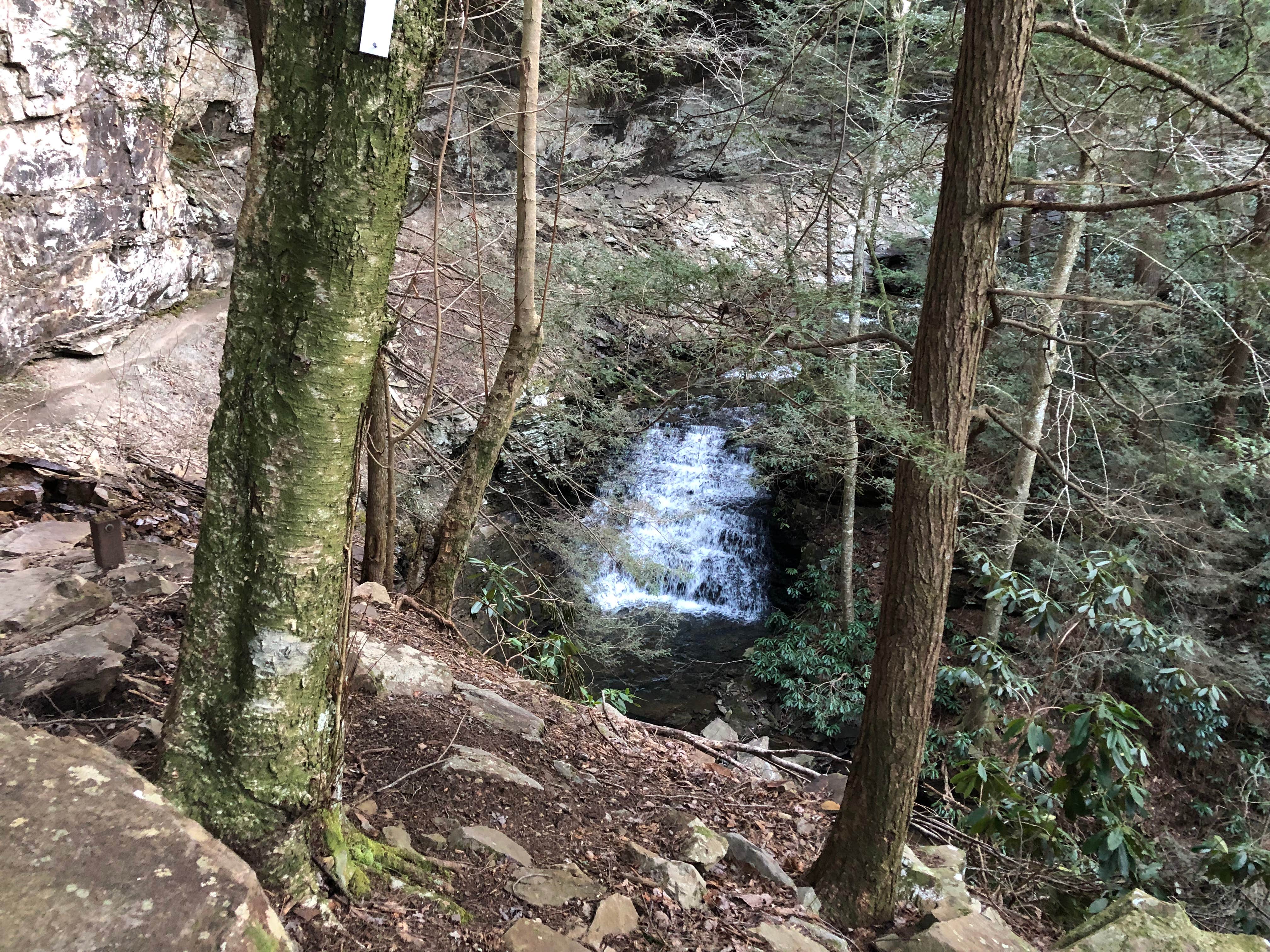 Camper-submitted photo at Savage Gulf South - Backcountry Camp near Signal Mountain, TN