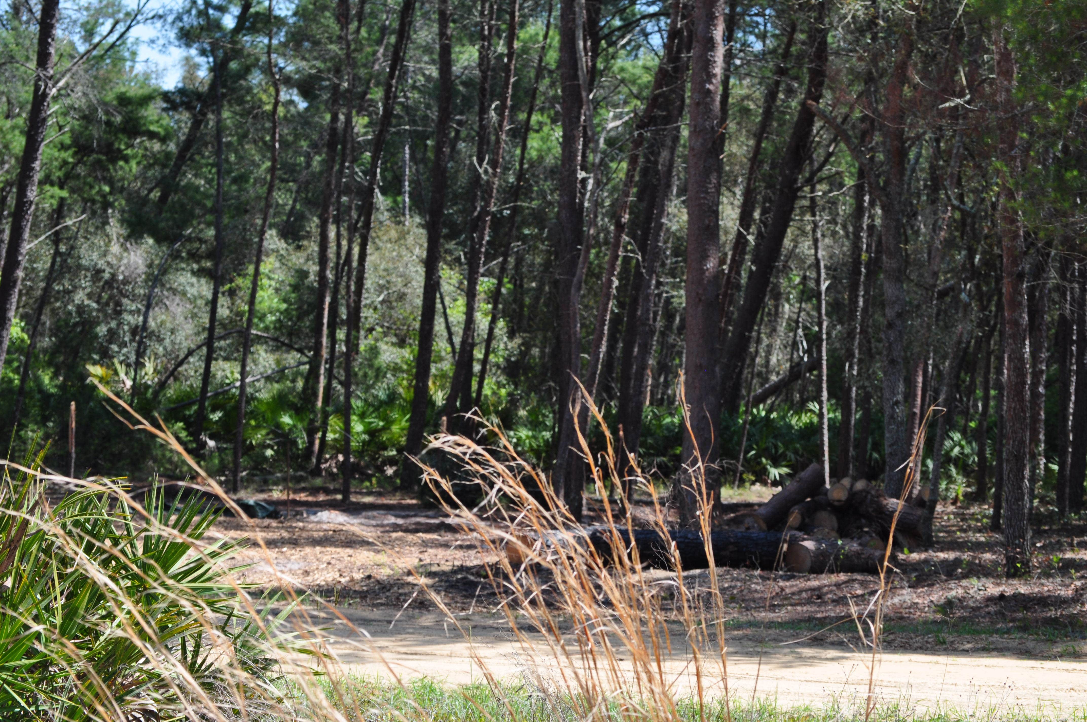 Camper-submitted photo at Connors Family Campsite near Orange Park, FL
