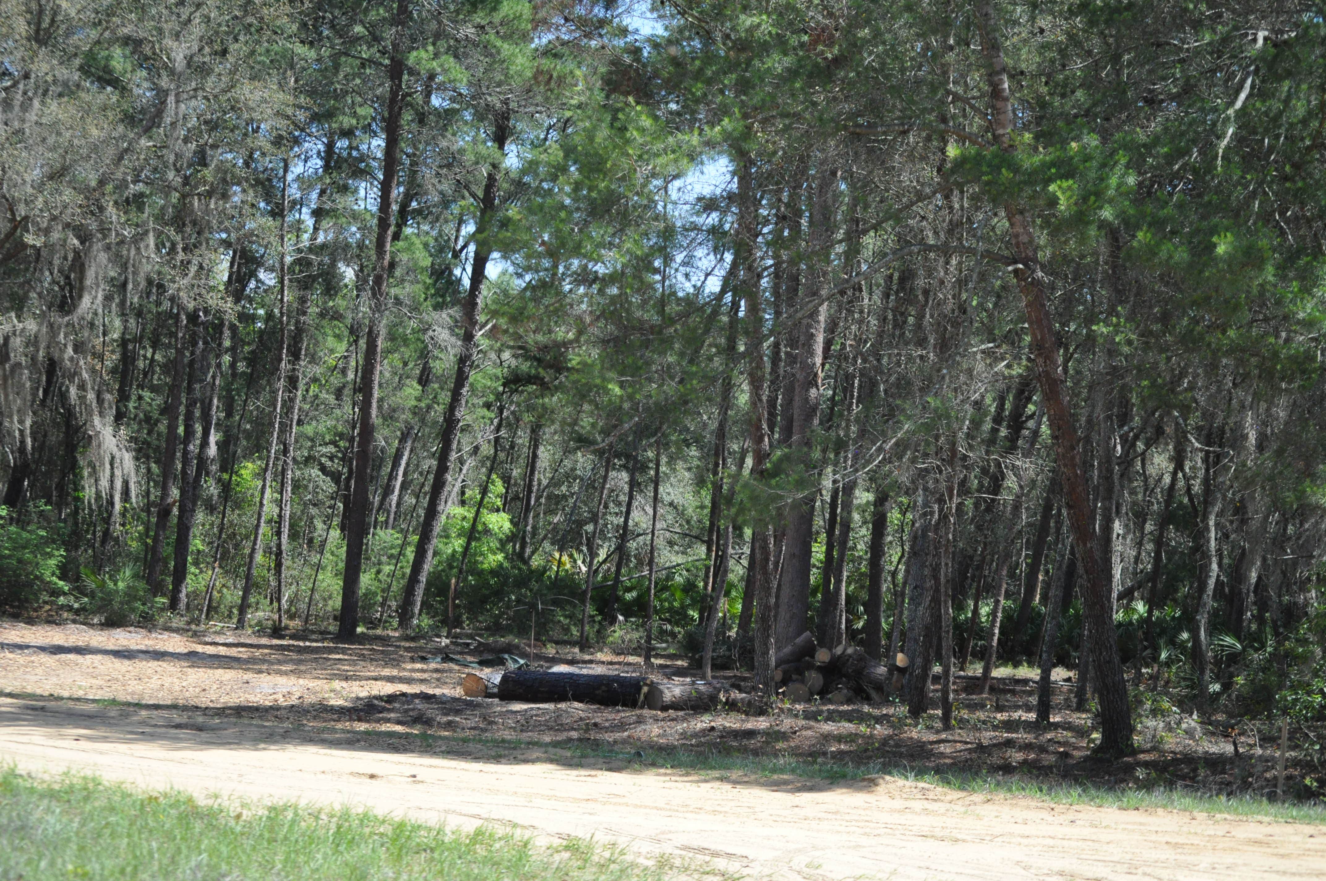 Camper-submitted photo at Connors Family Campsite near Orange Park, FL