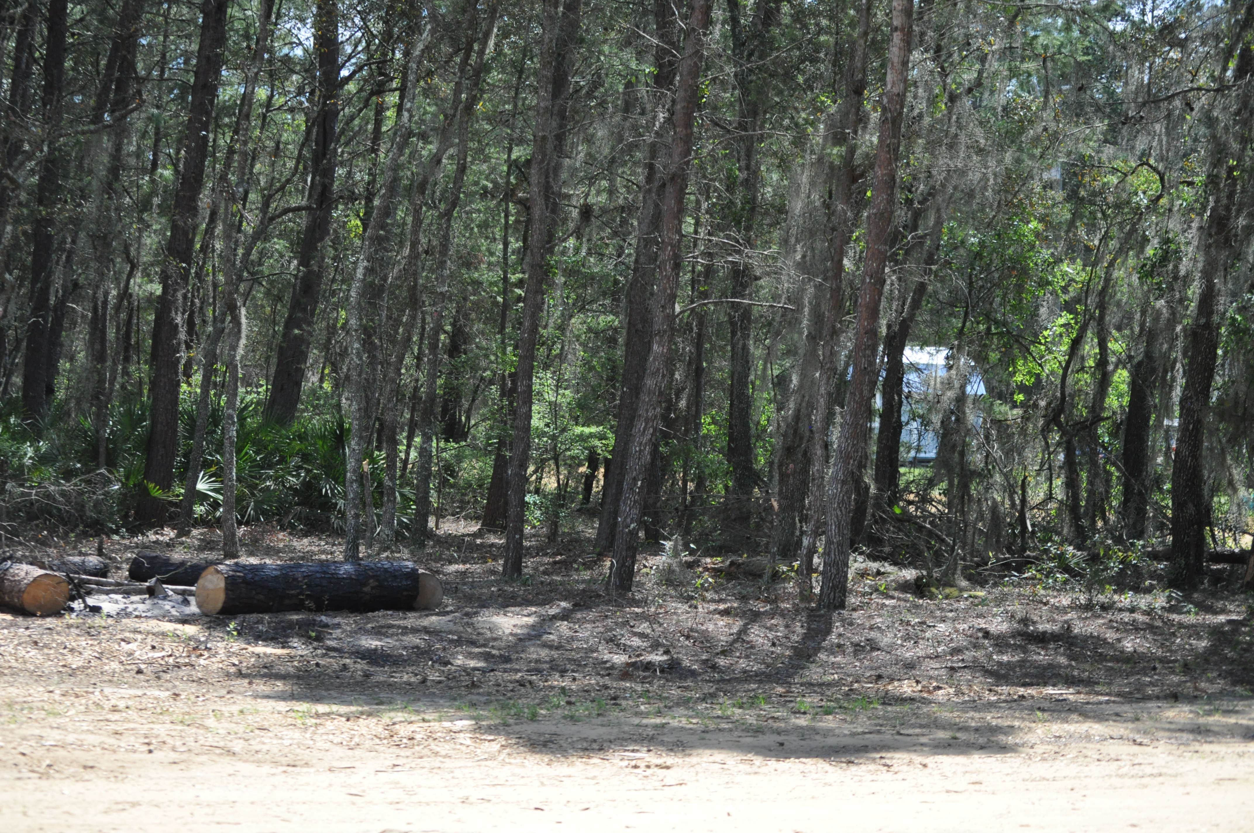 Camper-submitted photo at Connors Family Campsite near Orange Park, FL