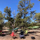 Review photo of Kaibab Forest Dispersed FR 682  by Jason M., April 7, 2022