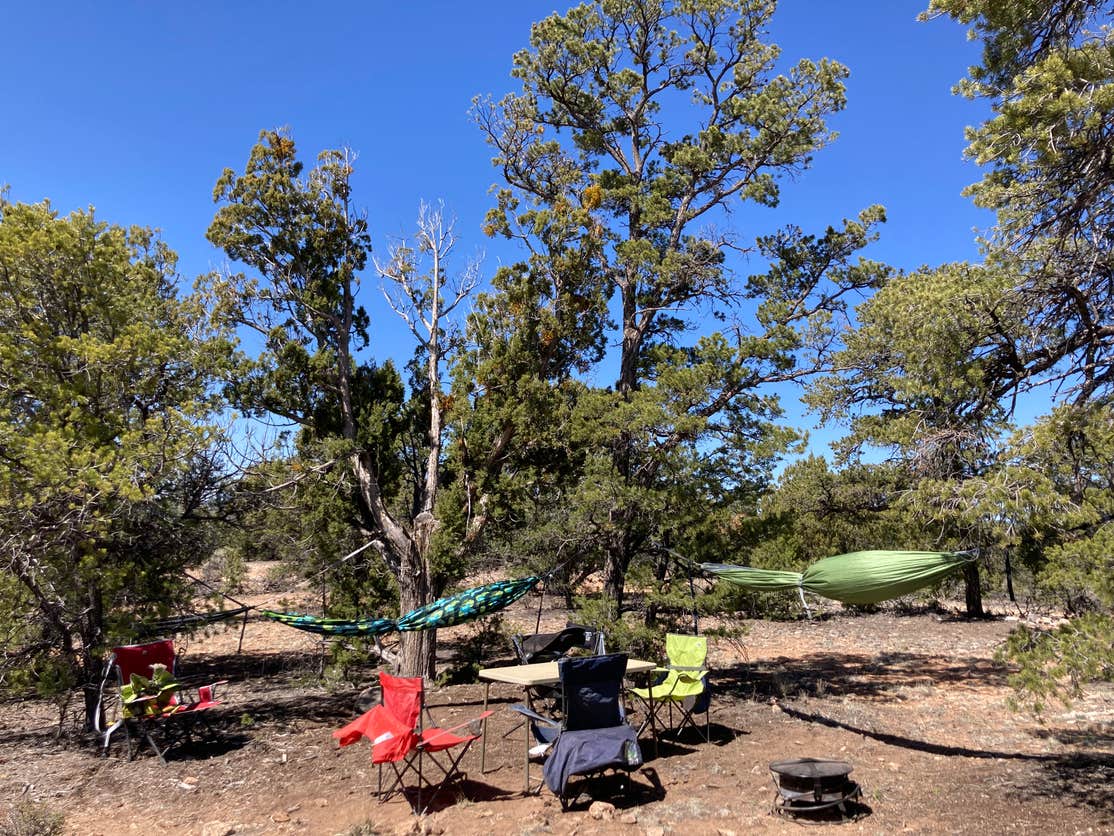 Kaibab Forest Dispersed FR 682 Camping The Dyrt