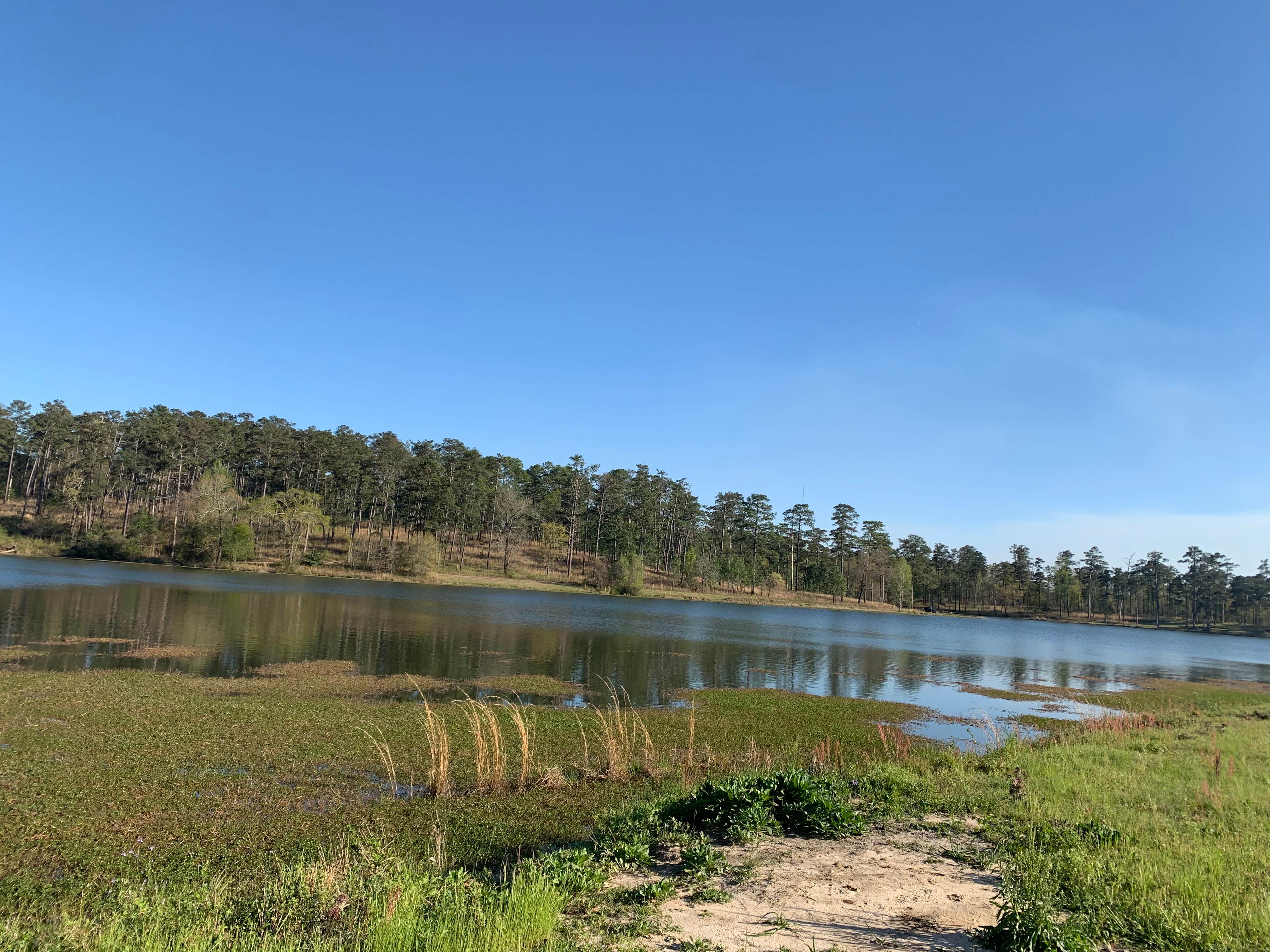 Camper-submitted photo at Kings Pond/ Fort Benning near Columbus, GA
