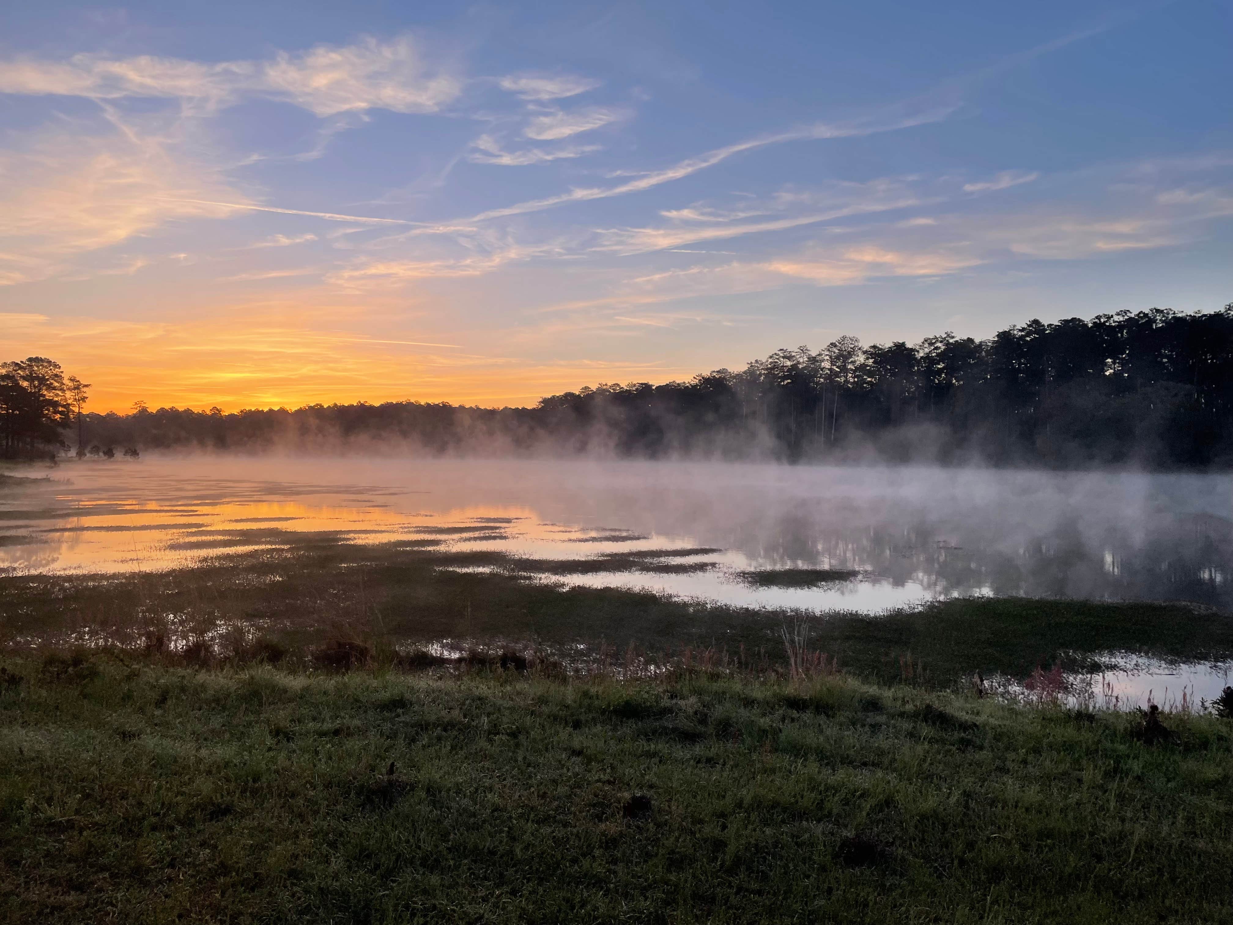 Camper submitted image from Kings Pond/ Fort Benning - 2