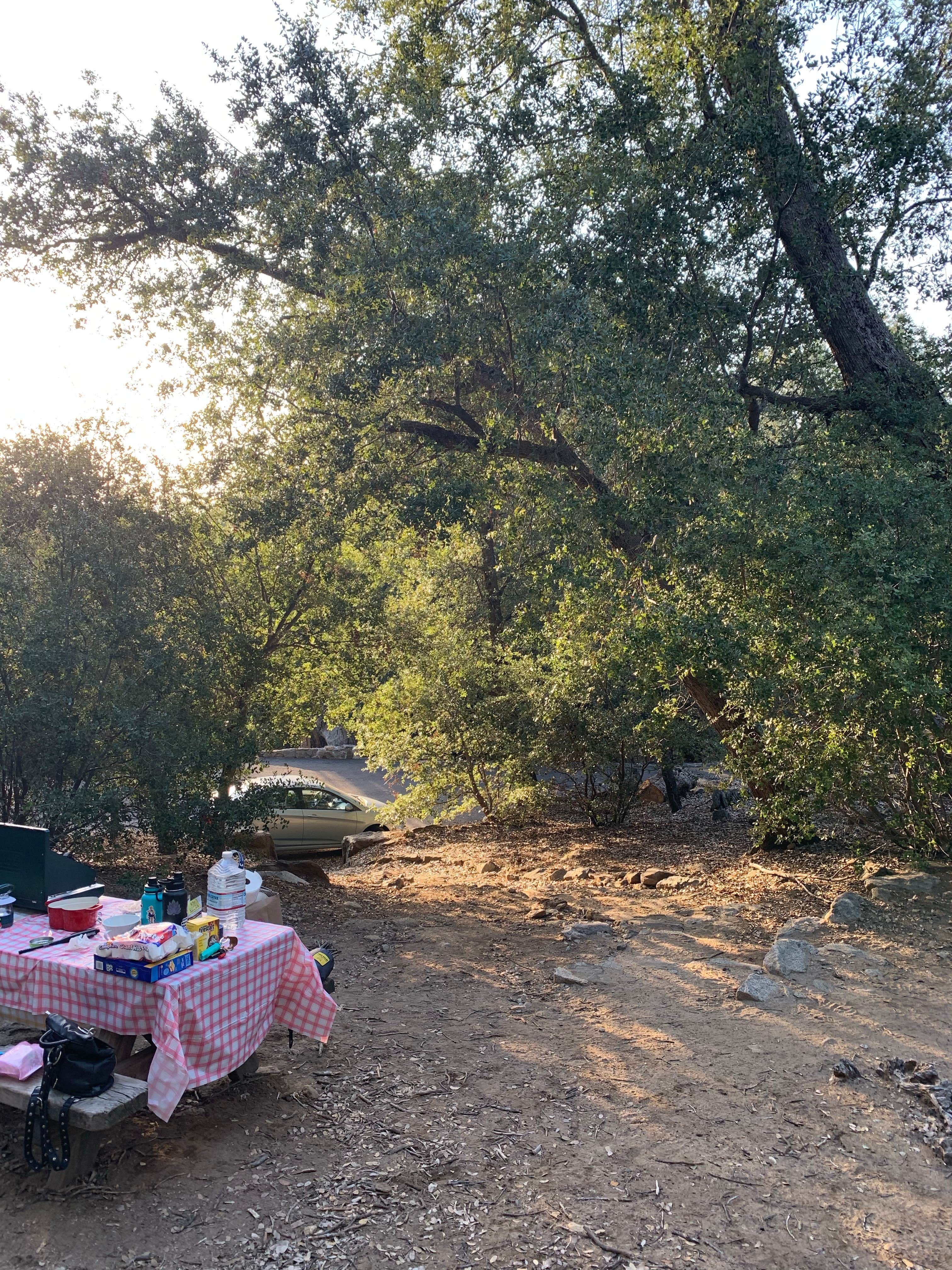 Matty F.'s photo at Palomar Mountain State Park Campground near Cleveland National Forest