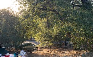 Matty F.'s photo at Palomar Mountain State Park Campground near Cleveland National Forest