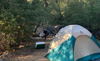 Matty F.'s photo at Palomar Mountain State Park Campground near Aguanga, CA
