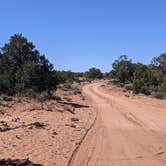 Review photo of BLM Intrepid Well Road Dispersed Camping by Greg L., April 7, 2022