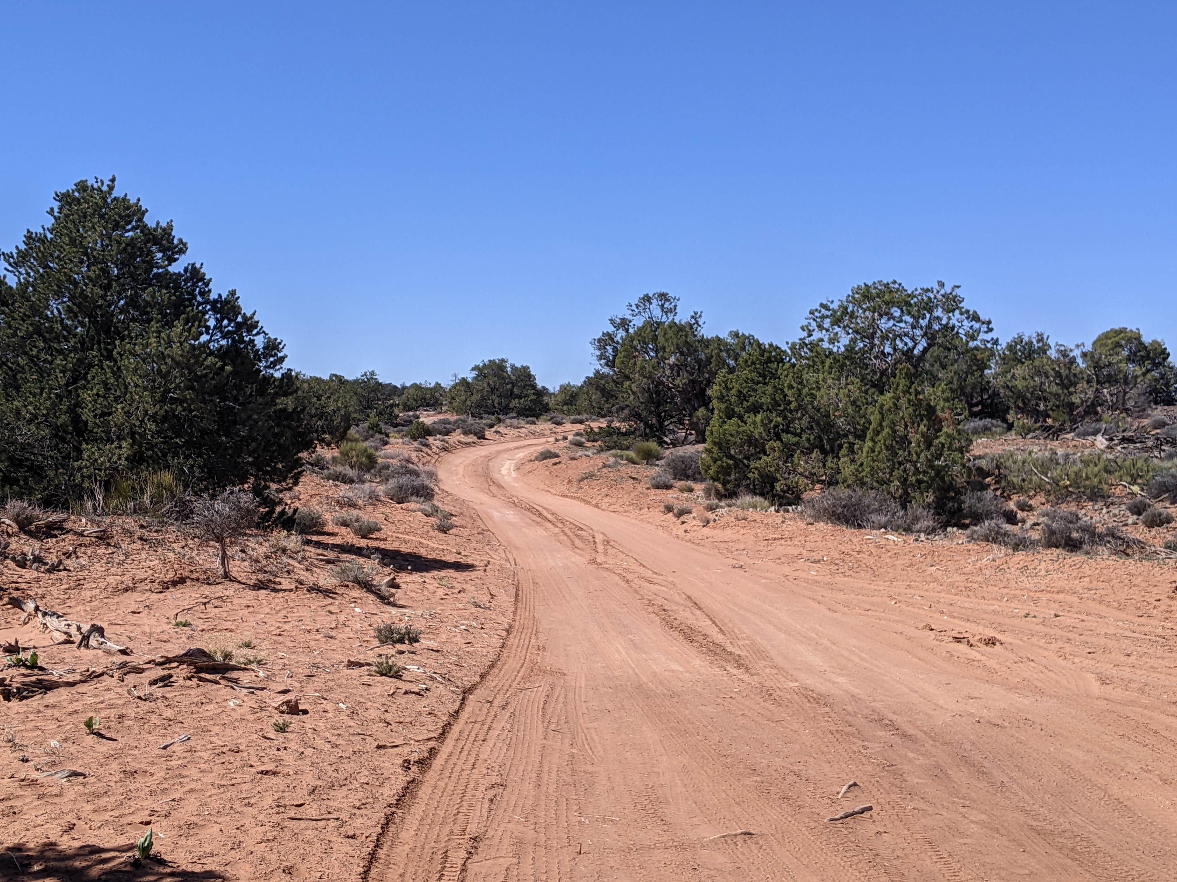 Camper submitted image from BLM Intrepid Well Road Dispersed Camping - 3