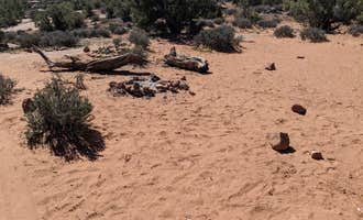Camping near Chicken Corners Dispersed: BLM Intrepid Well Road Dispersed Camping, Moab, Utah