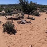 Review photo of BLM Intrepid Well Road Dispersed Camping by Greg L., April 7, 2022