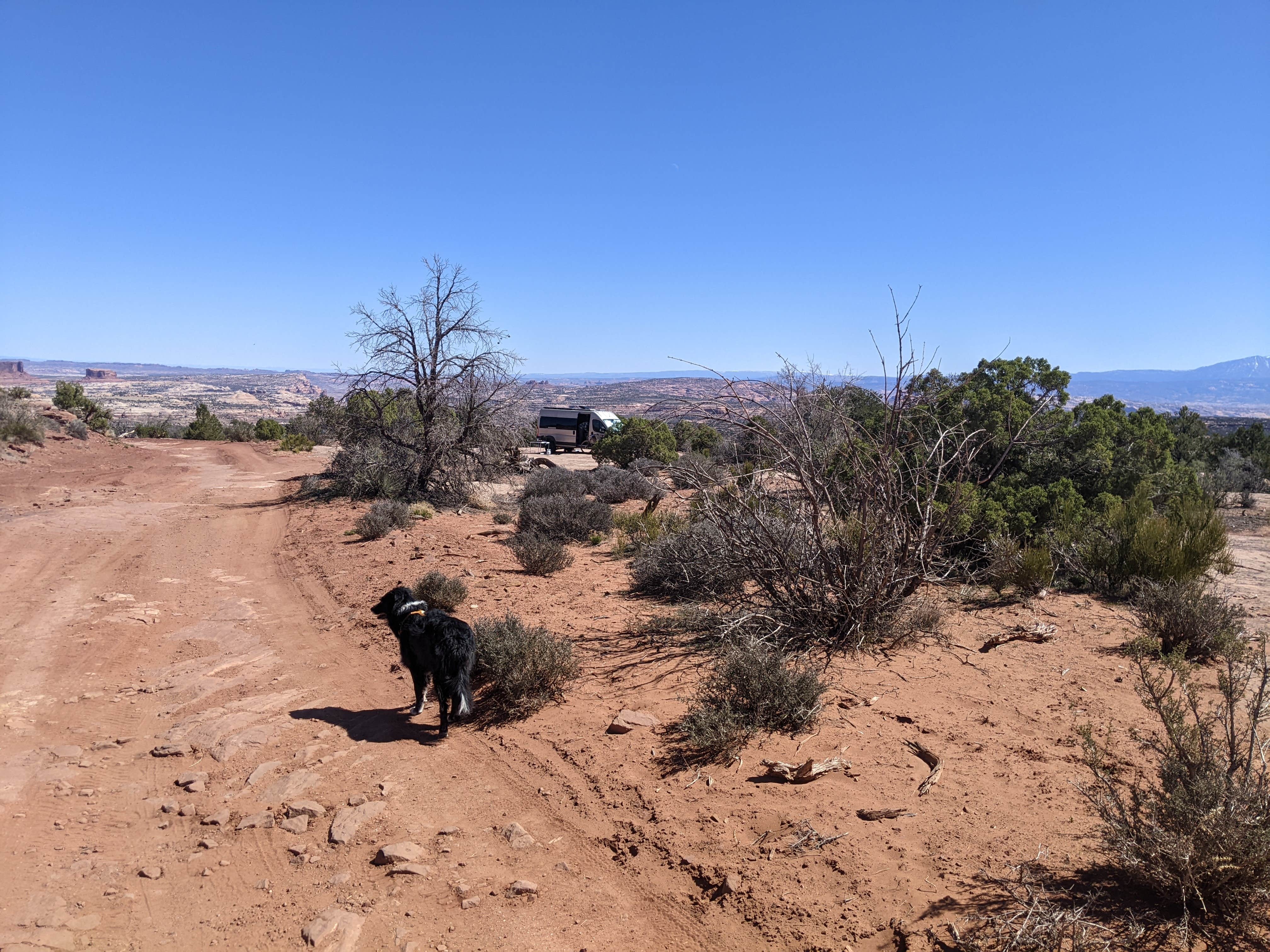 Camper submitted image from BLM Intrepid Well Road Dispersed Camping - 5