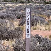 Review photo of BLM Intrepid Well Road Dispersed Camping by Greg L., April 7, 2022