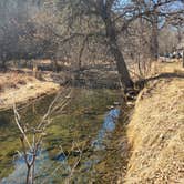 Review photo of Game Lodge Campground — Custer State Park by Amy G., April 7, 2022