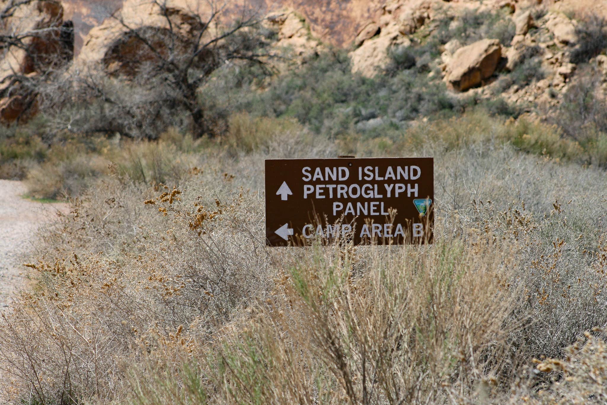 Camper-submitted photo at Sand Island BLM Campground Group sites Boat Launch near Bluff, UT