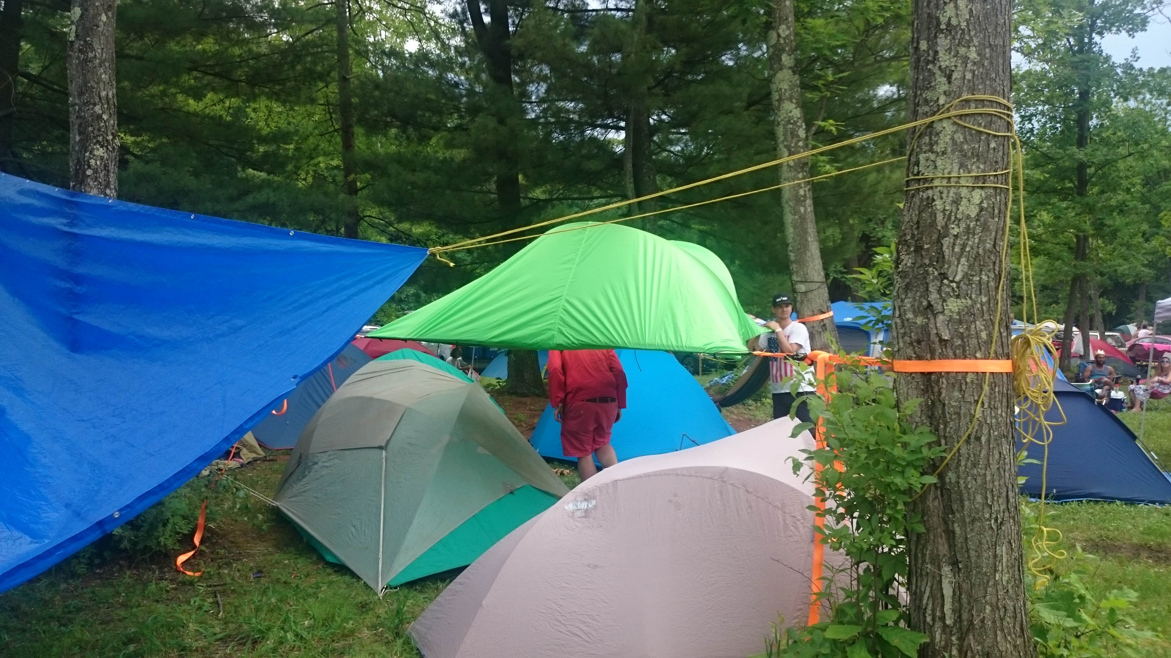 Camper submitted image from Lee's Park Campground - 5
