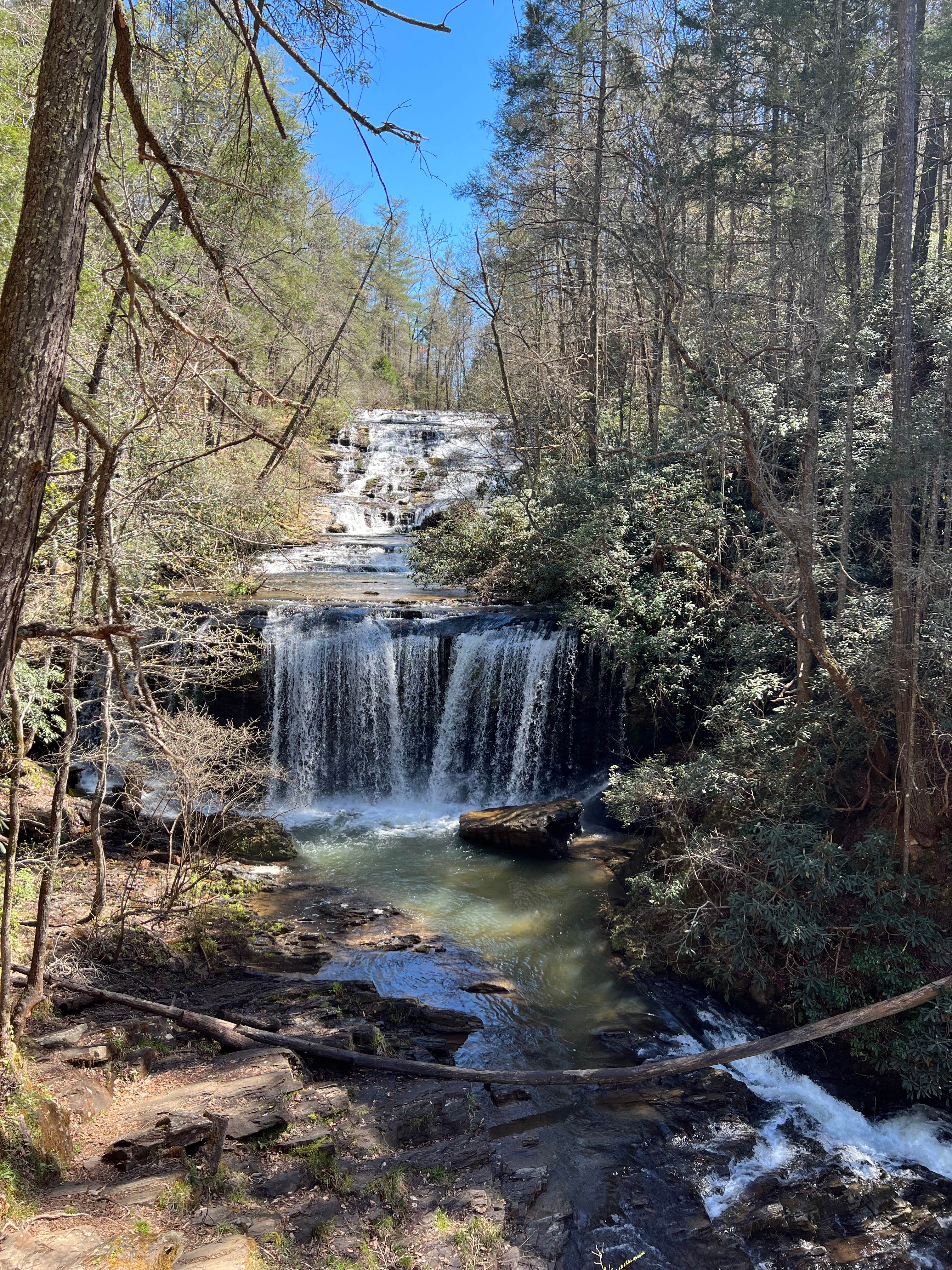 Camper submitted image from Brasstown Falls - OVERNIGHT CAMPING NO LONGER PERMITTED - 1