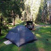 Review photo of Dru Barner Campground — Eldorado National Forest by Lily S., April 7, 2022