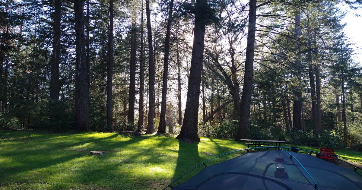 Dru Barner Campground Camping | Georgetown, CA | The Dyrt