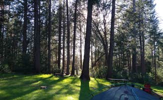 Lily S.'s photo at Dru Barner Campground — Eldorado National Forest near Weimar, CA