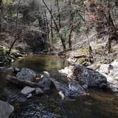 Review photo of Dru Barner Campground — Eldorado National Forest by Lily S., April 7, 2022