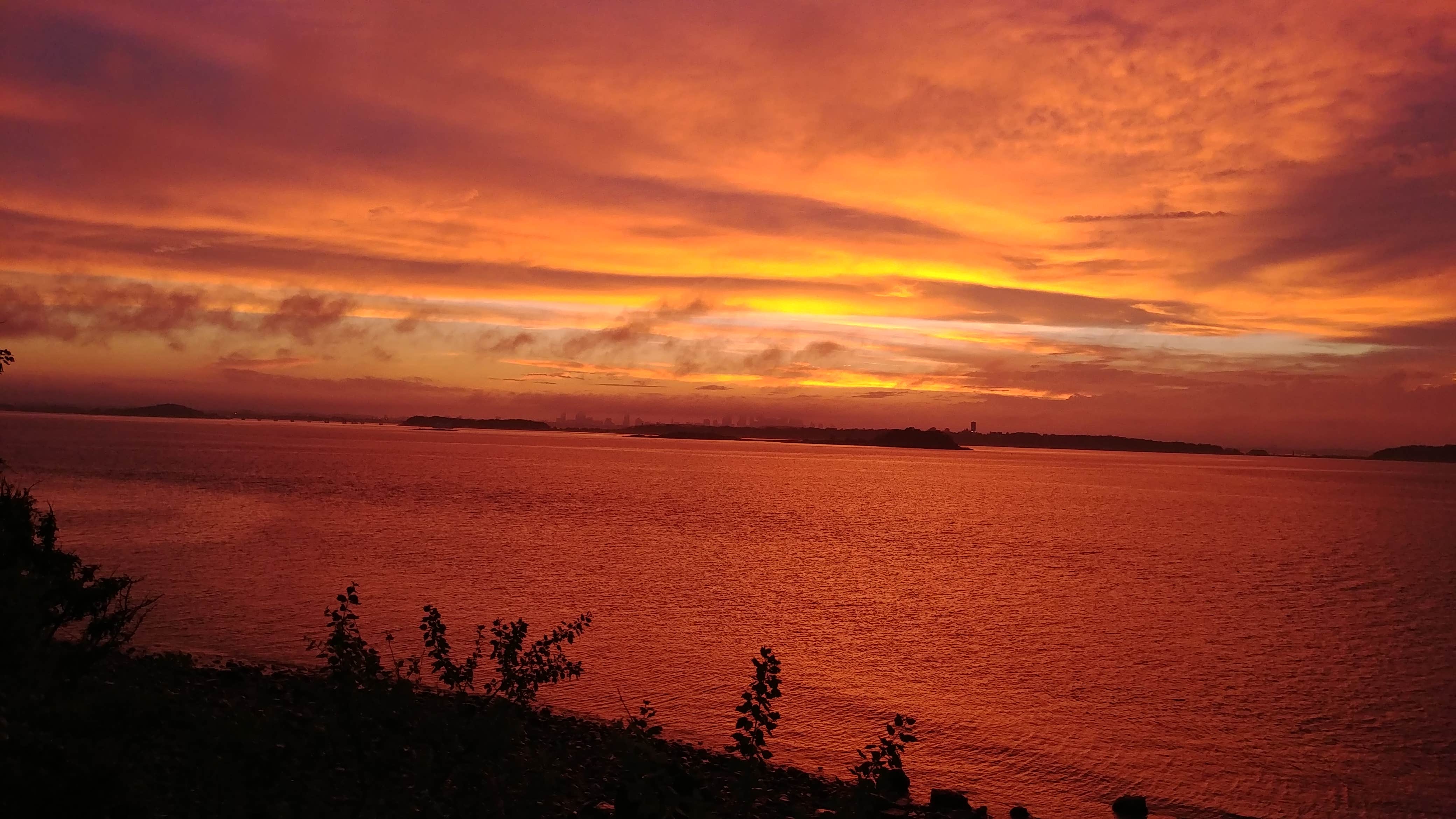 Camper submitted image from Boston Harbor Islands State Park Campground - 2