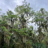 Review photo of Jekyll Island Campground by Steven T., April 8, 2022