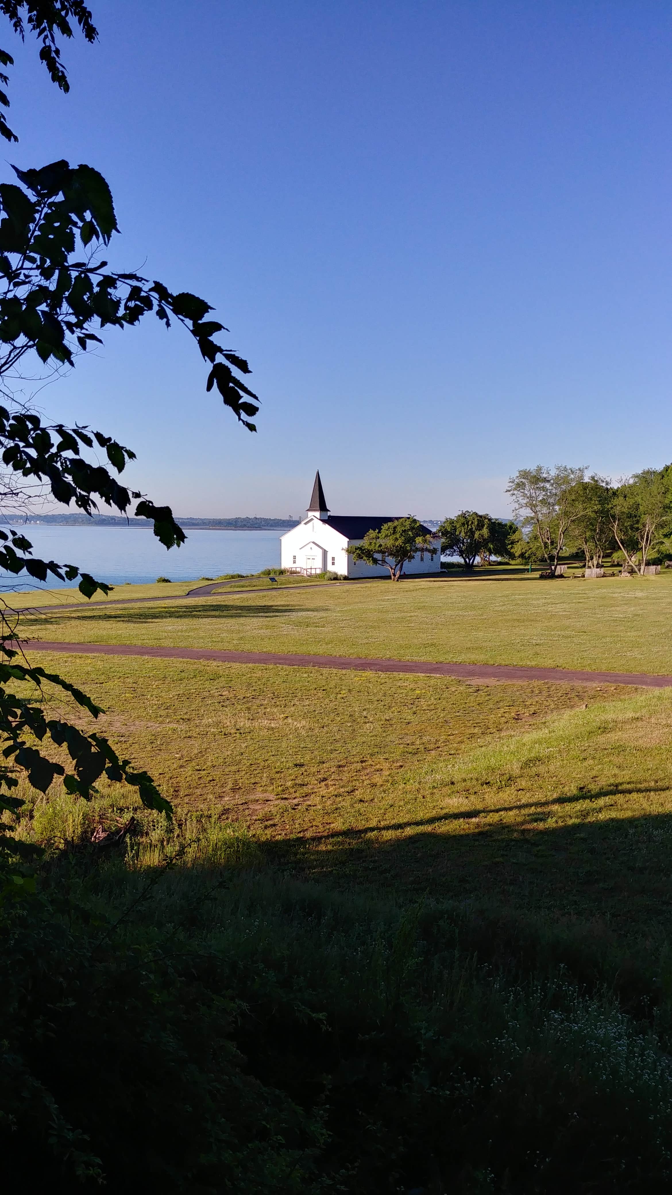 Camper submitted image from Boston Harbor Islands State Park Campground - 4