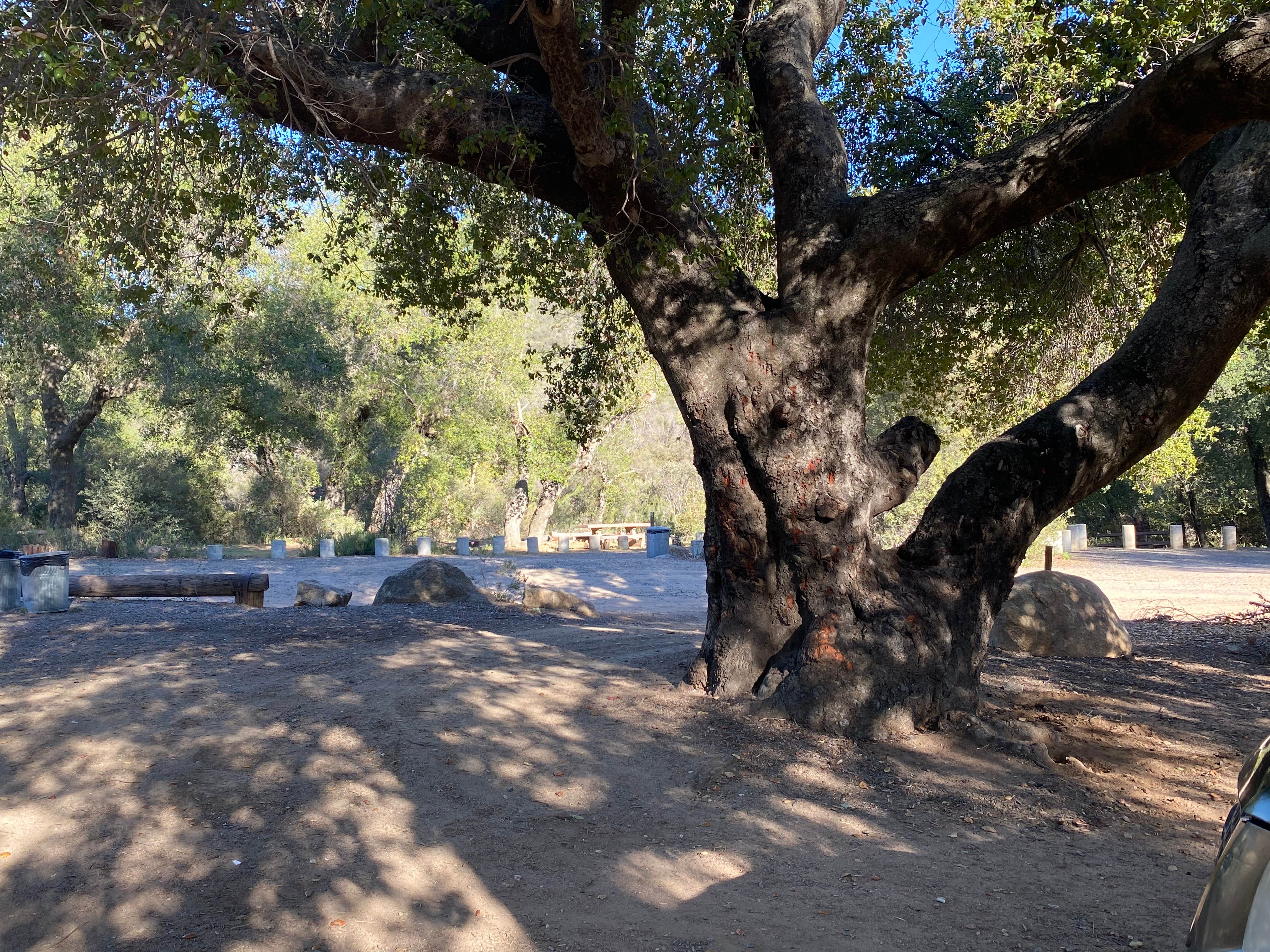 Camper submitted image from Wildomar Campground - 2