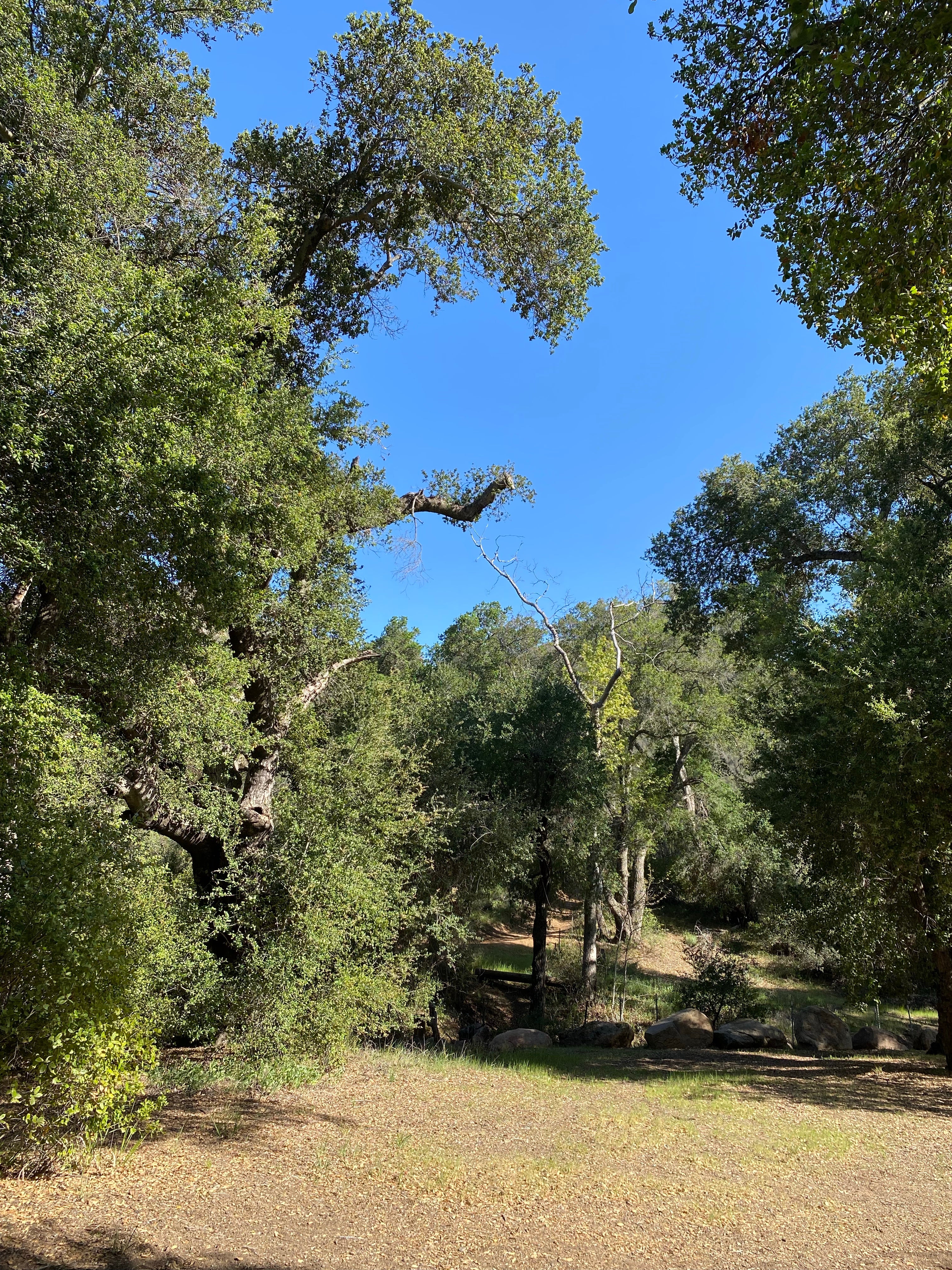 Camper submitted image from Wildomar Campground - 4