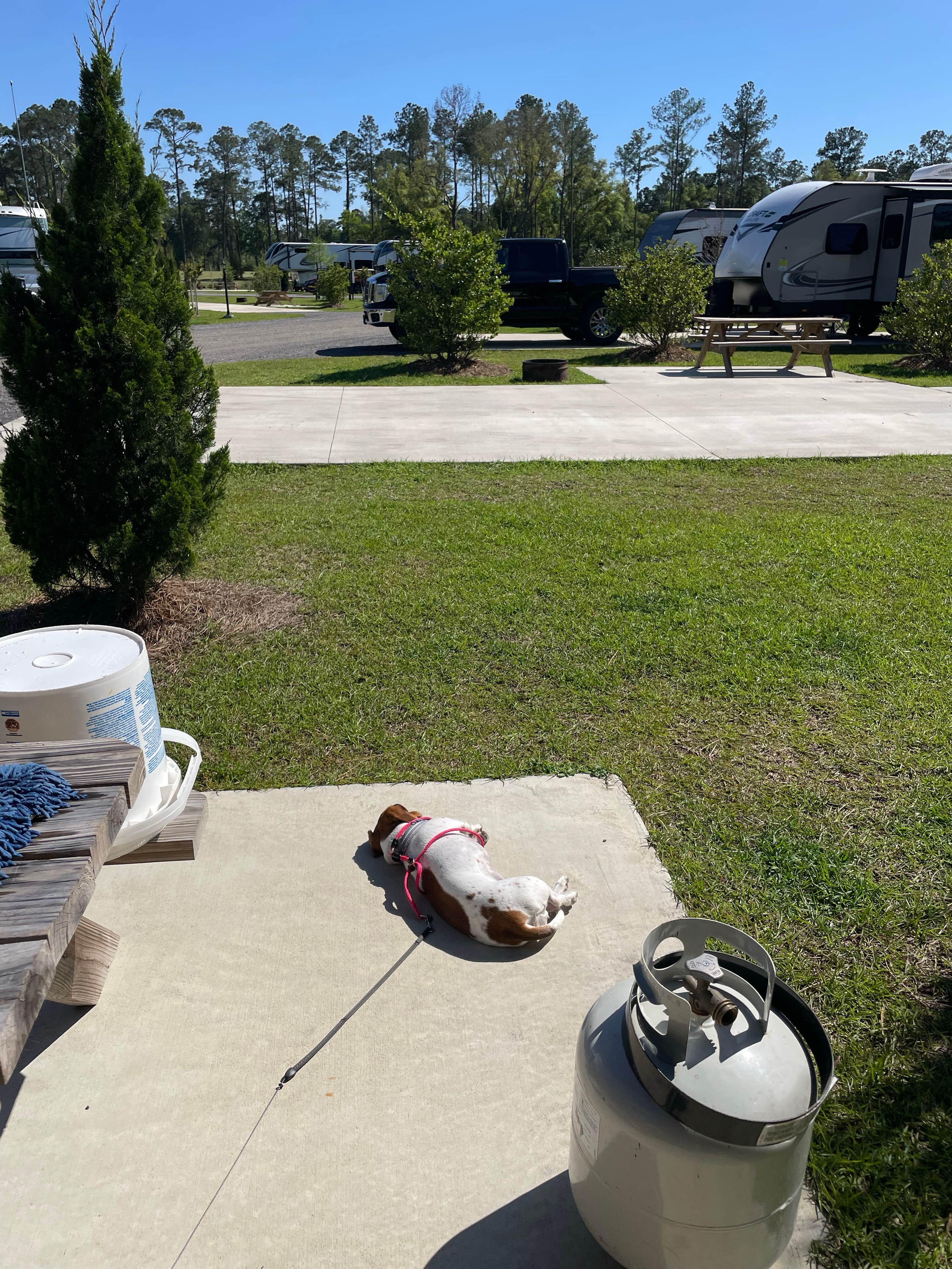 Camper-submitted photo at Madison Golf & RV Resort near Wildwood, FL