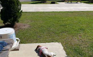 Bill B.'s photo of camping with pets at Madison Golf & RV Resort near Bushnell, FL