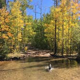 Review photo of Lodgepole - Jefferson by Steph A., July 12, 2018