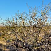 Review photo of BLM Dispersed camping along B059 New Mexico by Dan M., April 8, 2022