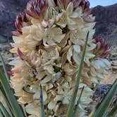 Review photo of BLM Dispersed camping along B059 New Mexico by Dan M., April 8, 2022