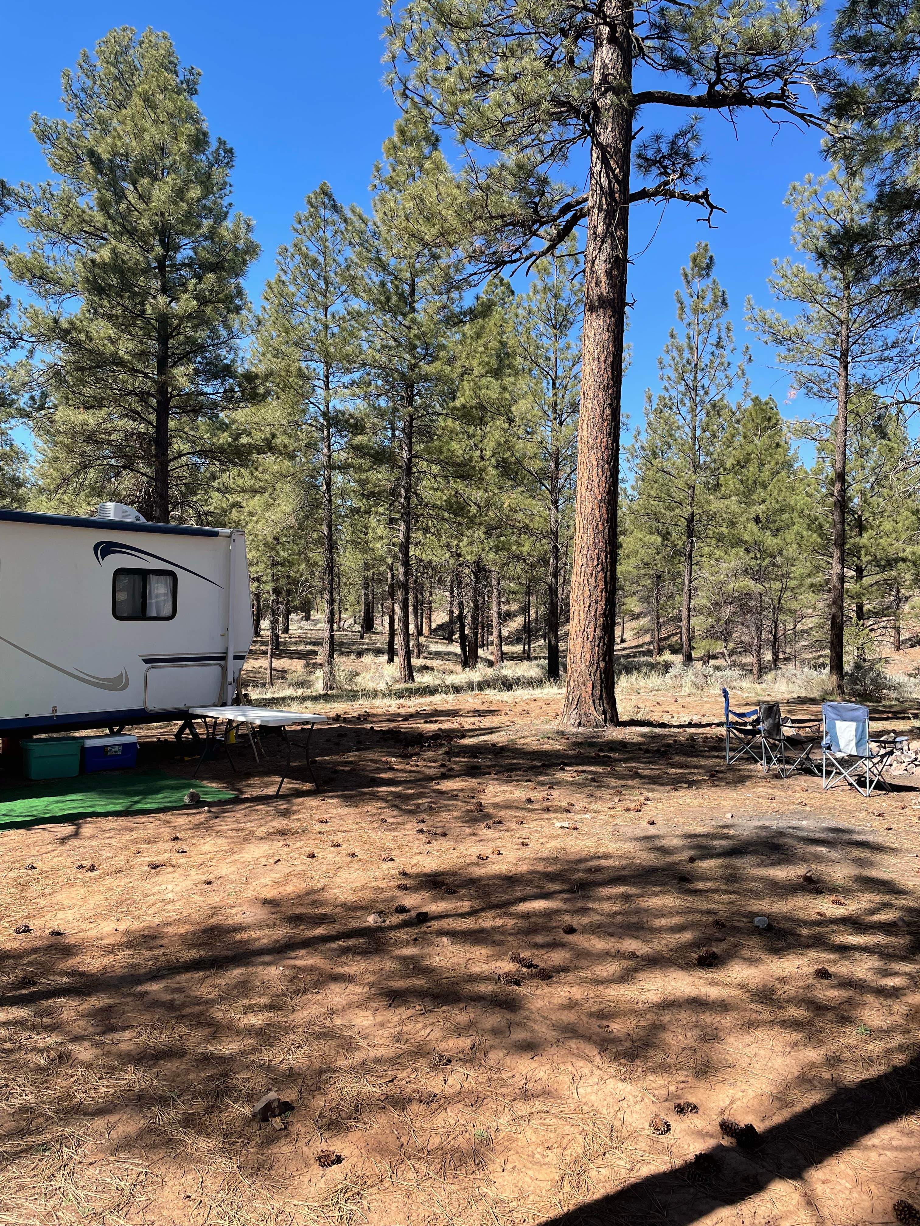 Ryan S.'s photo at Forest Service Road 328 Dispersed near Grand Canyon, AZ