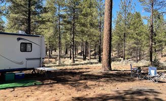 Ryan S.'s photo at Forest Service Road 328 Dispersed near Grand Canyon, AZ