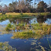 Review photo of Fontainebleau State Park Campground by Tiffany L., April 8, 2022