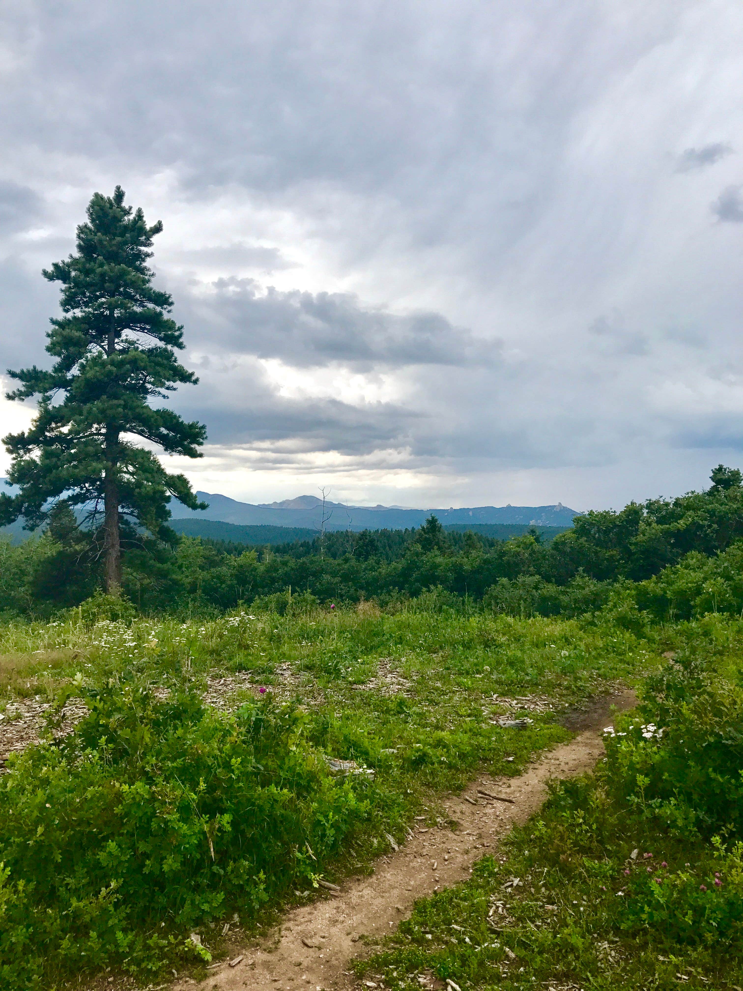 Camper submitted image from Indian Creek Equestrian Campground - 3