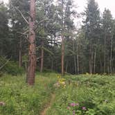 Review photo of Indian Creek Equestrian Campground by Steph A., July 12, 2018