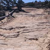 Review photo of BLM Tibbetts Arch Road Dispersed Camping by Greg L., April 8, 2022