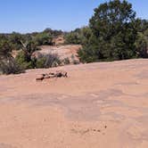 Review photo of BLM Tibbetts Arch Road Dispersed Camping by Greg L., April 8, 2022