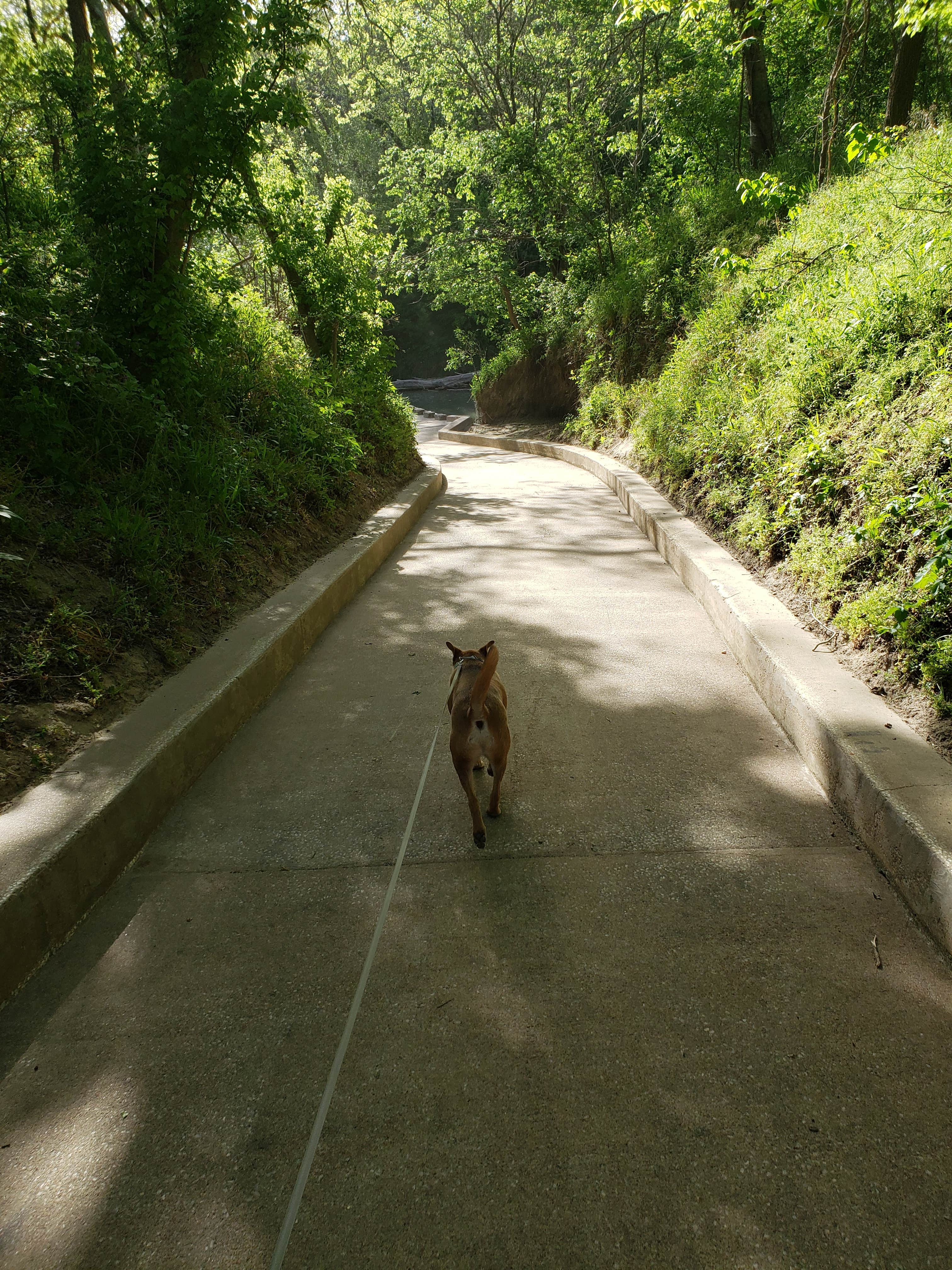 Sean & Holly H.'s photo of camping with pets at Palmetto State Park Campground near Cuero, TX